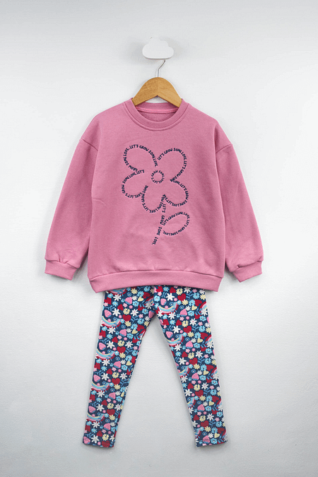 CONJUNTO - FRISA
