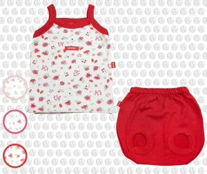 CONJUNTO