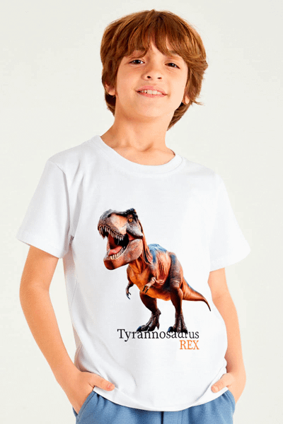 REMERA - JERSEY