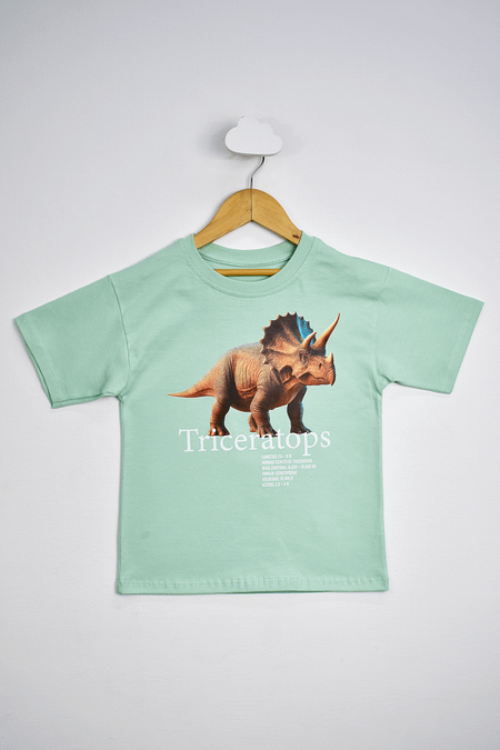 REMERA - JERSEY