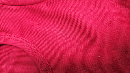 REMERA - RIB - SEGUNDA SELECCIÖN