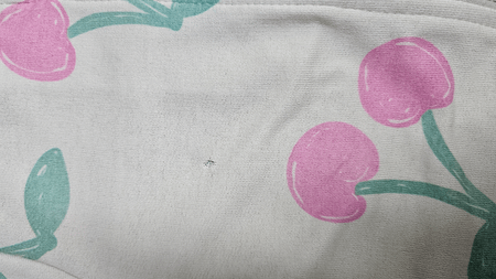 CAMPERA - RUSTICA - SEGUNDA SELECCION 