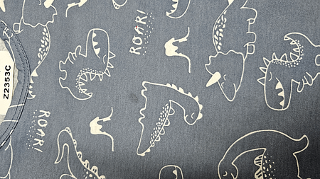 REMERA - JERSEY - SEGUNDA SELECCION