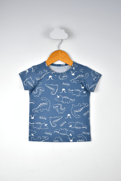 REMERA - JERSEY - SEGUNDA SELECCION