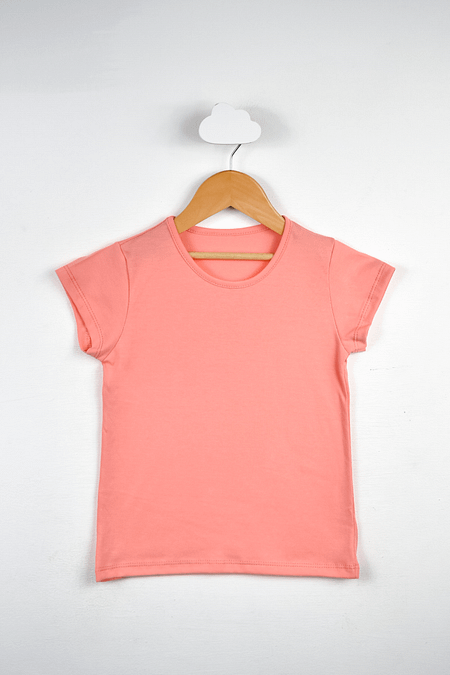 REMERA -  JERSEY