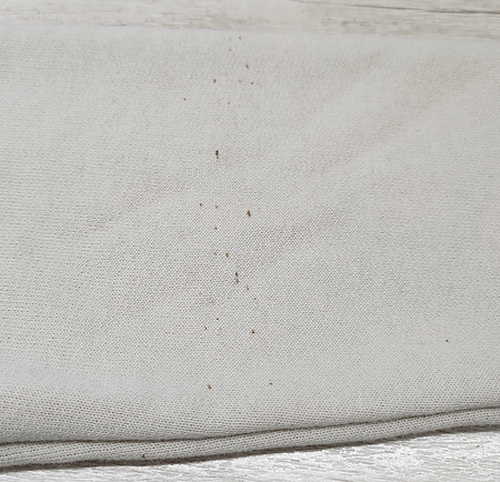 BUZO FRISA - SEGUNDA SELECCIÓN