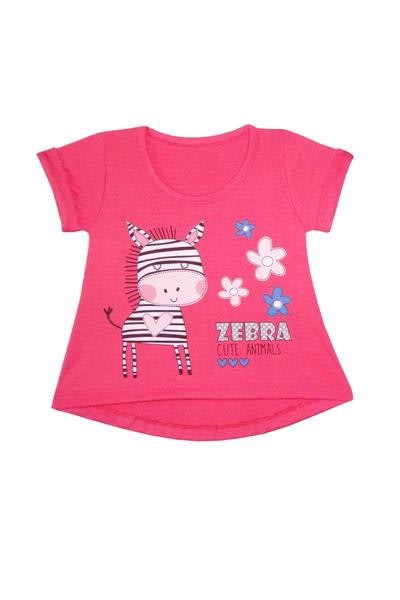Remera - Modal 